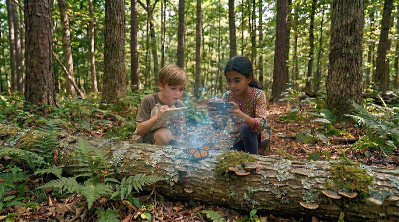 Nature Documentary